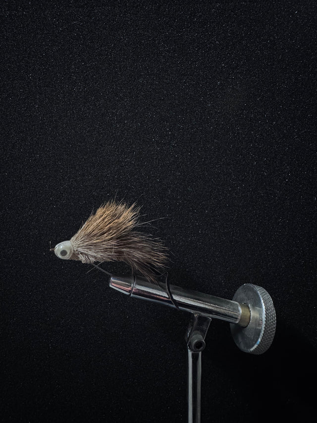 Mouche souris