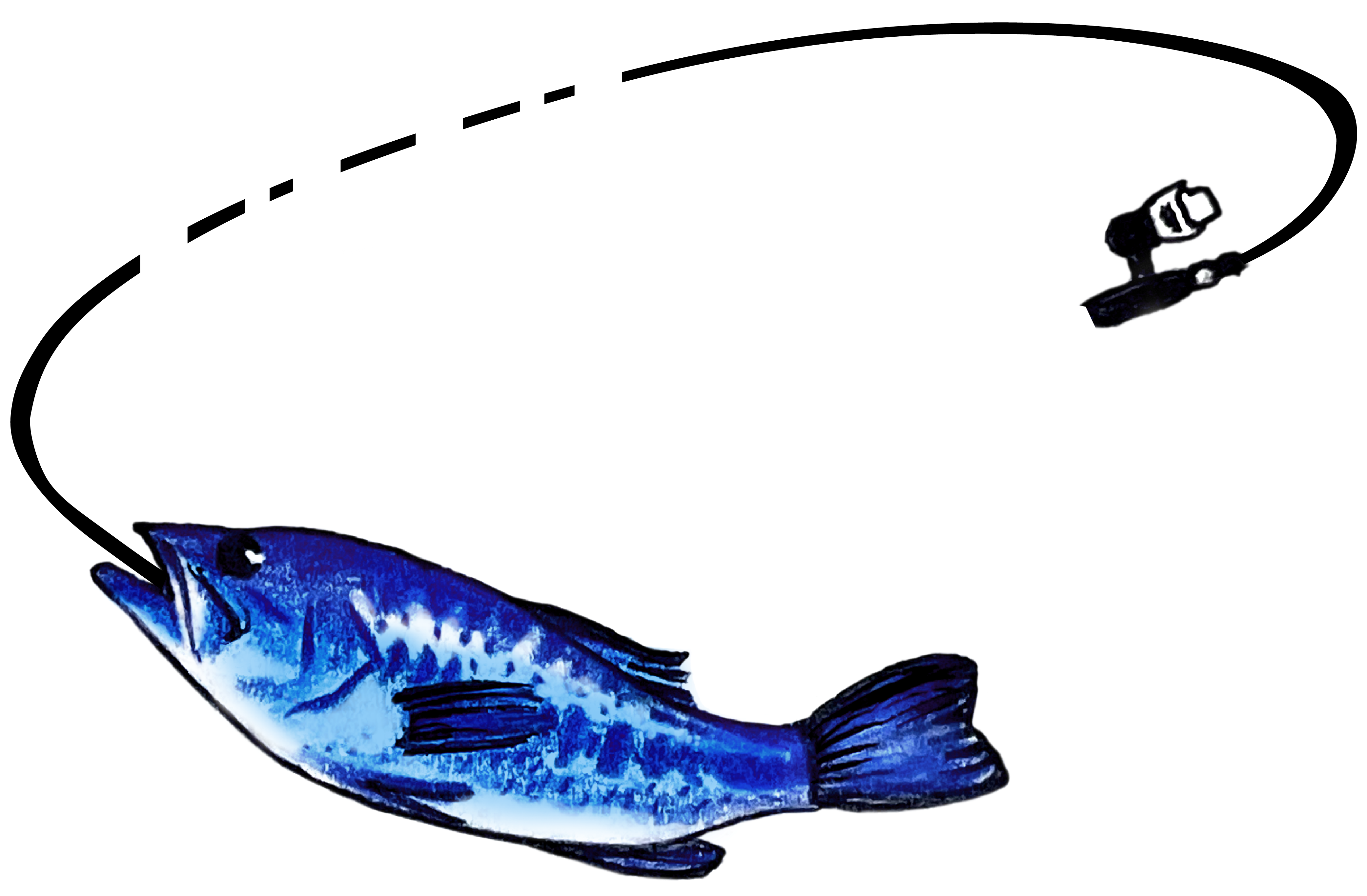 Bluebass