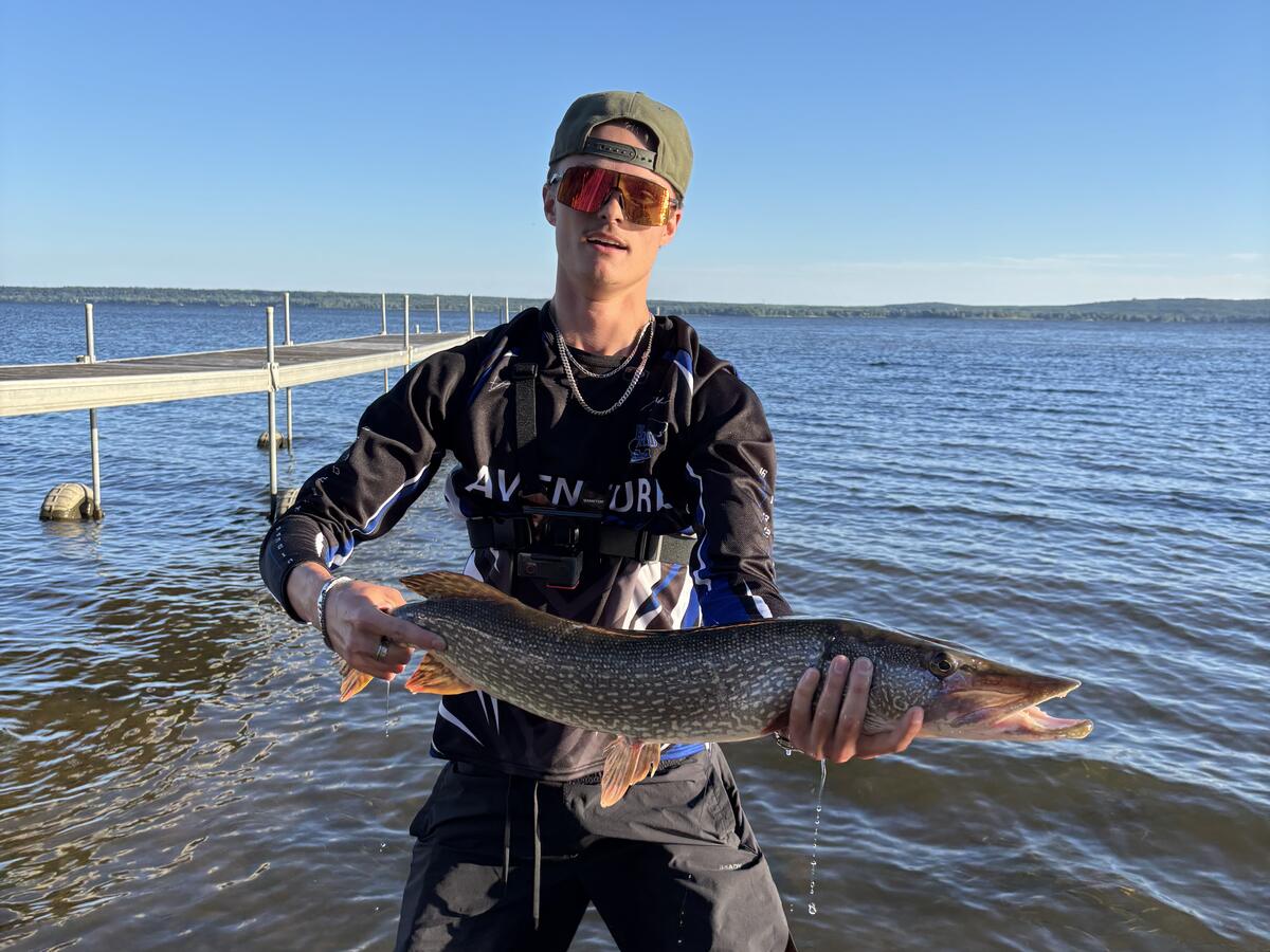 Brochet